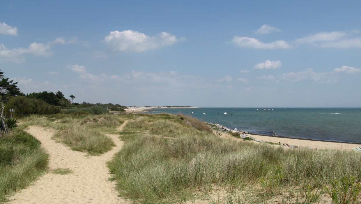 Plage de Grignon, Ars-en-Ré