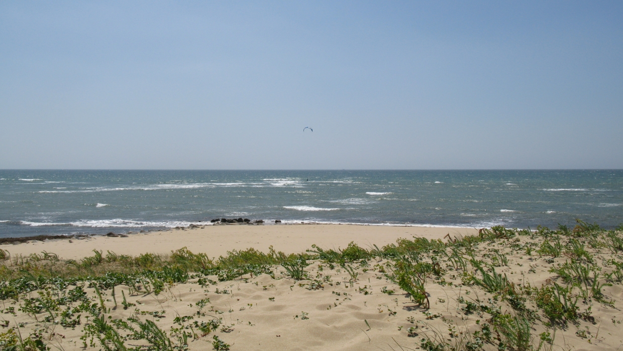 Plage de Grignon, Ars-en-Ré