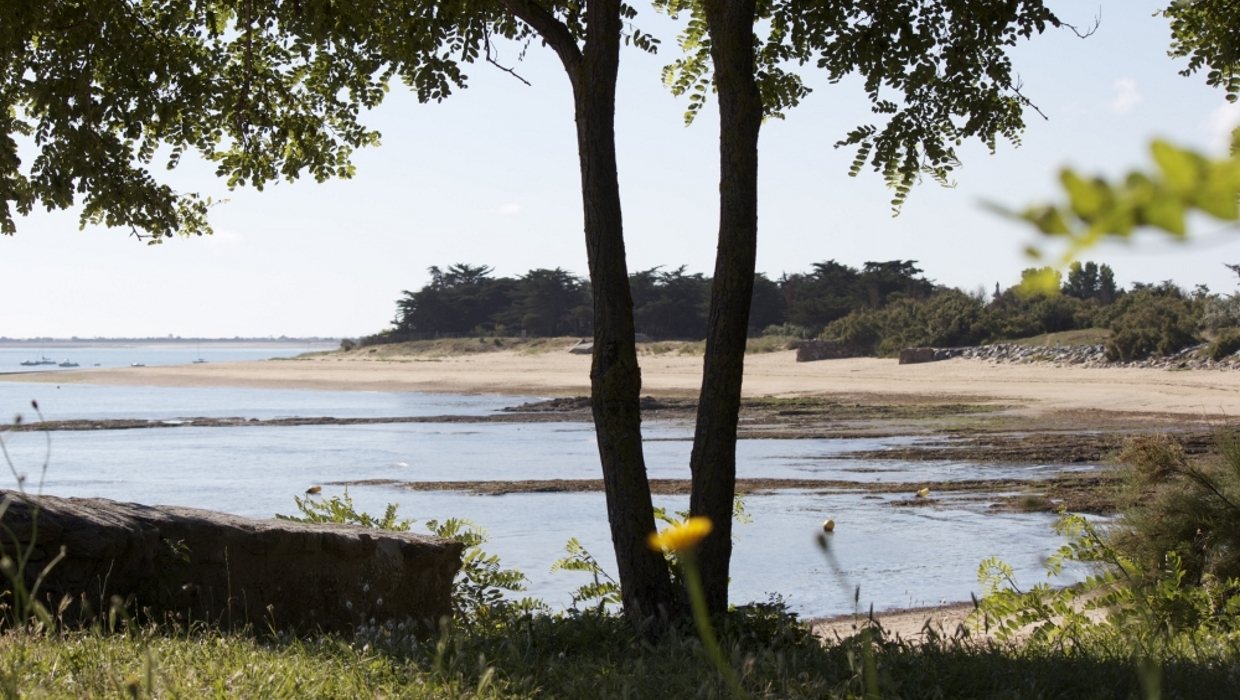 Plage de Trousse Chemise, Les Portes-en-Ré