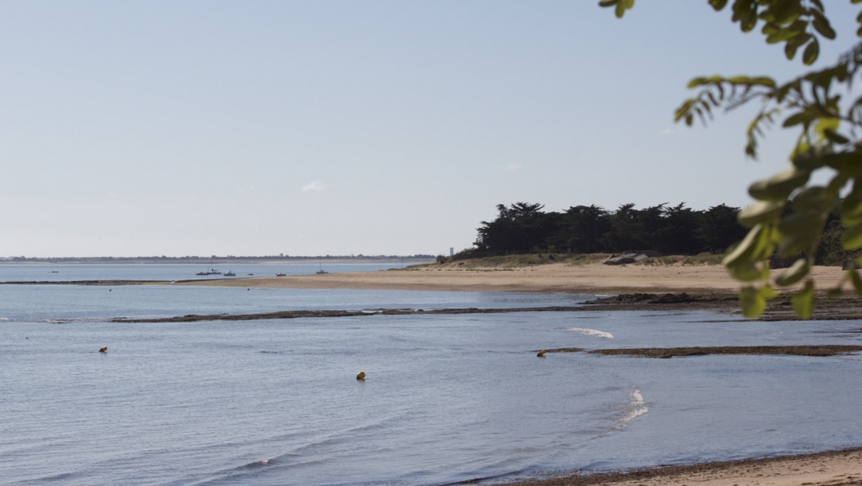 Plage de Trousse Chemise, Les Portes-en-Ré